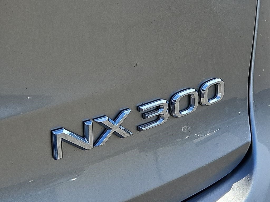 2021 Lexus NX 300 Base 300 Base